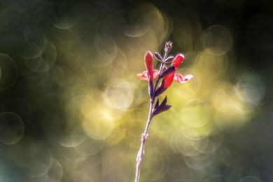 03 Im Gegenlicht